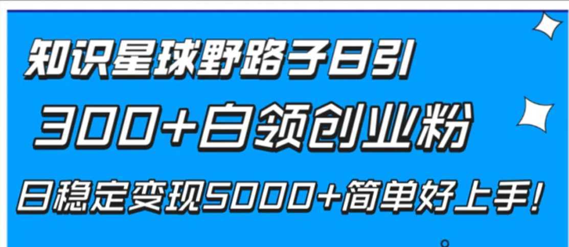 知识星球野路子日引300+白领创业粉，日稳定变现5000+简单好上手！