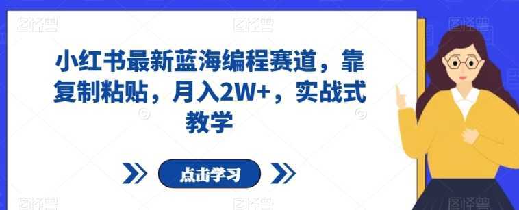 小红书最新蓝海编程赛道，靠复制粘贴，月入2W+，实战式教学【揭秘】