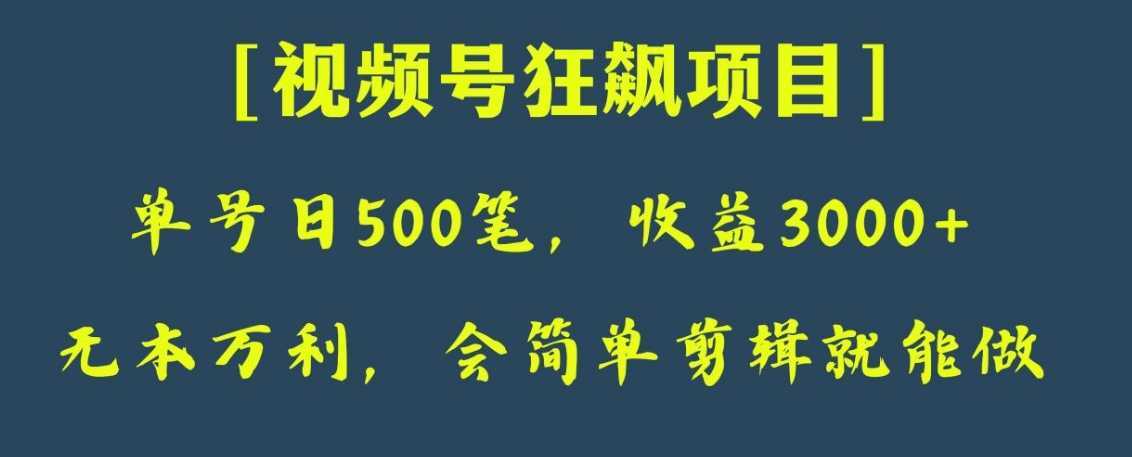 日收款500笔，纯利润3000+，视频号狂飙项目！