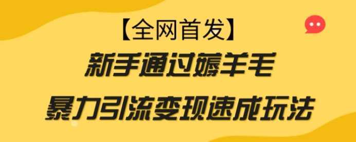 【全网首发】新手通过薅羊毛暴力引流变现速成玩法