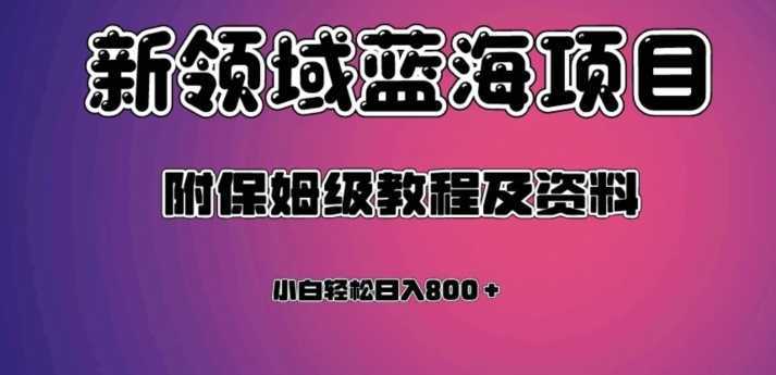 虚拟资源蓝海领域新项目，轻松日入800＋，附保姆级教程及资料