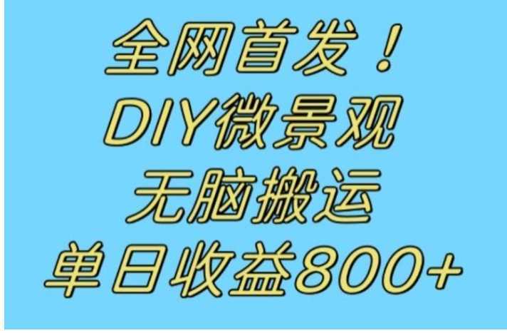 全网首发冷门赛道！DIY微景观，无脑搬运视频，日收益800+【揭秘】