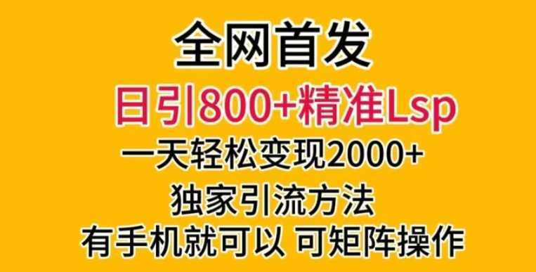 全网首发！日引800+精准老色批，一天变现2000+，独家引流方法，可矩阵操作【揭秘】