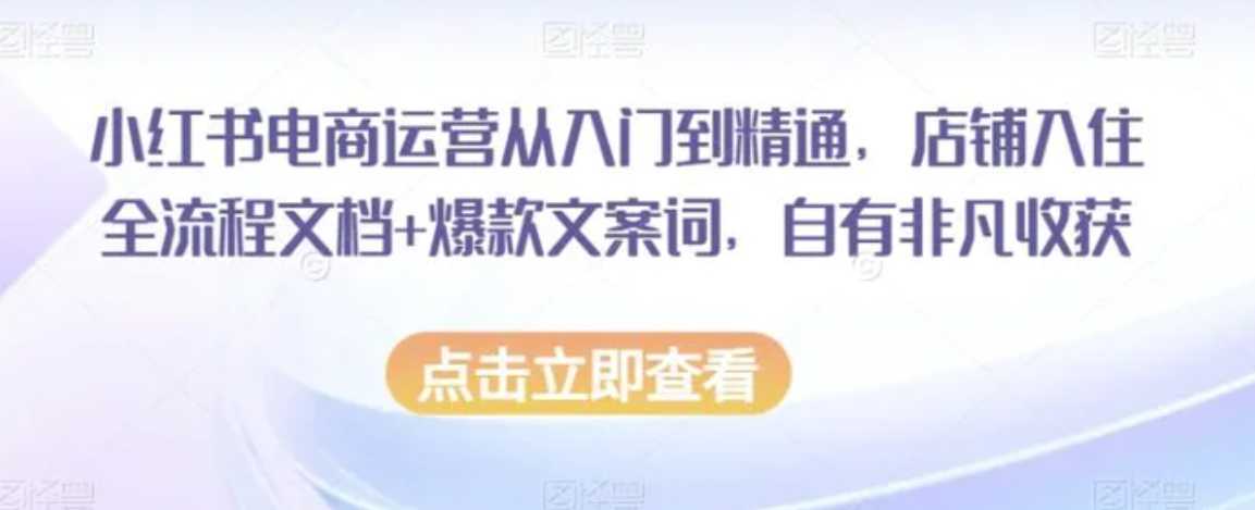 小红书电商运营从入门到精通，店铺入住全流程文档+爆款文案词，自有非凡收获