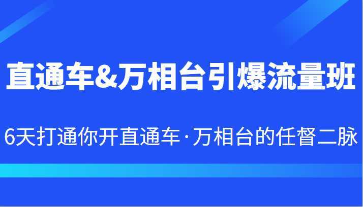 直通车&万相台引爆流量班 6天打通你开直通车·万相台的任督二脉