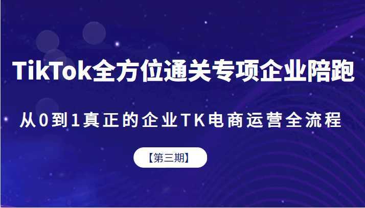 TikTok全方位通关专项企业陪跑【第三期】，从0到1真正的企业TK电商运营全流