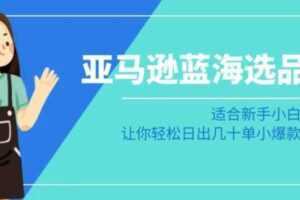 亚马逊-蓝海选品课:适合新手小白卖家,让你轻松日出几十单小爆款产品