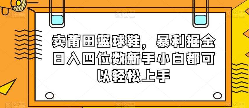 卖莆田篮球鞋，暴利掘金日入四位数新手小白都可以轻松上手【揭秘】