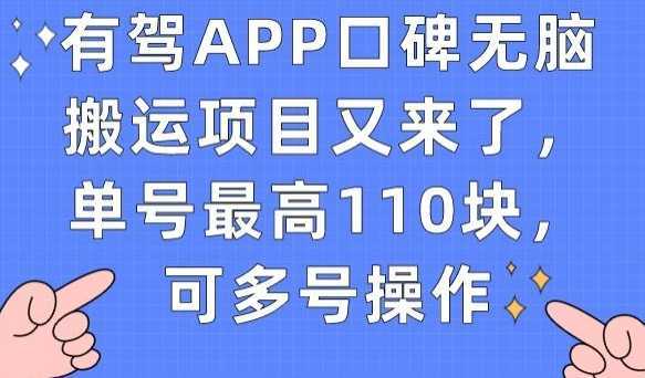 有驾APP口碑无脑搬运项目又来了,单号最高110块,可多号操作