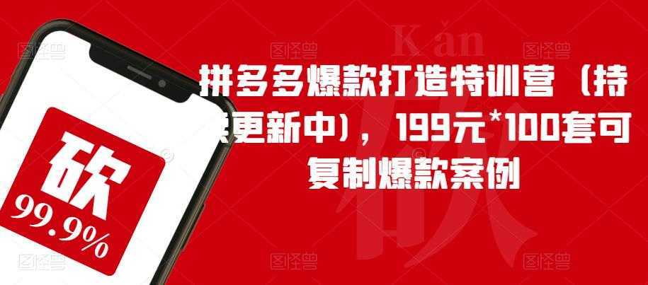 拼多多爆款打造特训营(持续更新中),199元*100套可复制爆款案例