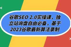 谷歌SEO 2.0实操课，独立站询盘自由必备，基于2023谷歌最新算法录制