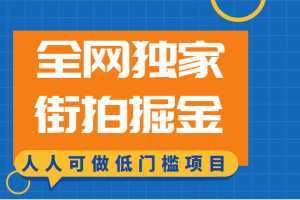 全网独家一街拍掘金,低门槛人人可做的赚钱项目