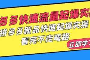 拼多多-快速流量起爆实战，拼多多新品快速起爆实操，看完不走弯路