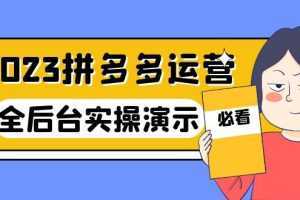 2023拼多多·运营:14节干货实战课,拒绝-口嗨,全后台实操演示