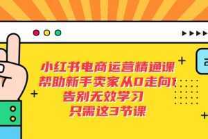 小红书电商·运营精通课，帮助新手卖家从0走向1 告别无效学习