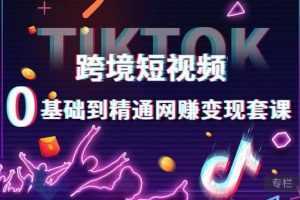 跨境短视频TIKTOK 0基础到精通网赚变现套课,跨境短视频独立站带货变现技巧