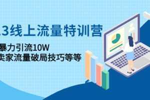2023线上流量特训营:包含暴力引流10W+中小卖家流量破局技巧等等