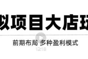 虚拟项目月入几万大店玩法分享，多店操作利润倍增！【视频教程】