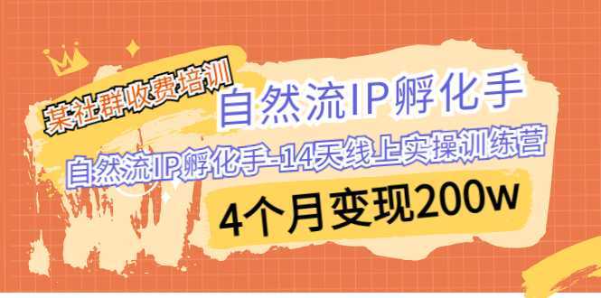 某社群收费培训：自然流IP 孵化手-14天线上实操训练营 4个月变现200w