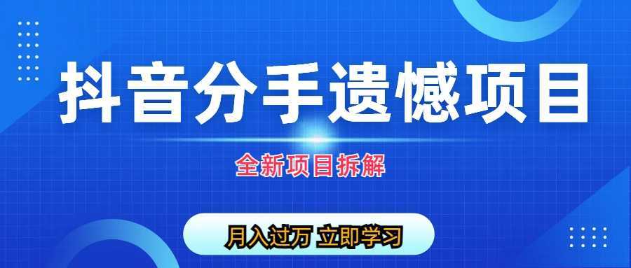 (6633期)自媒体抖音分手遗憾项目私域项目拆解