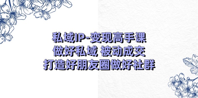 私域IP-变现高手课：做好私域 被动成交，打造好朋友圈做好社群