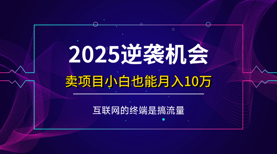 项目标题：2025逆袭机会，卖项目小白也能轻松月入10万+