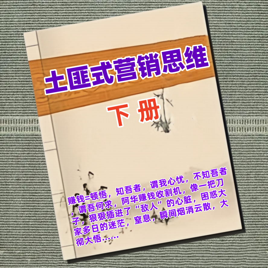 阿华土匪式营销思维 下册