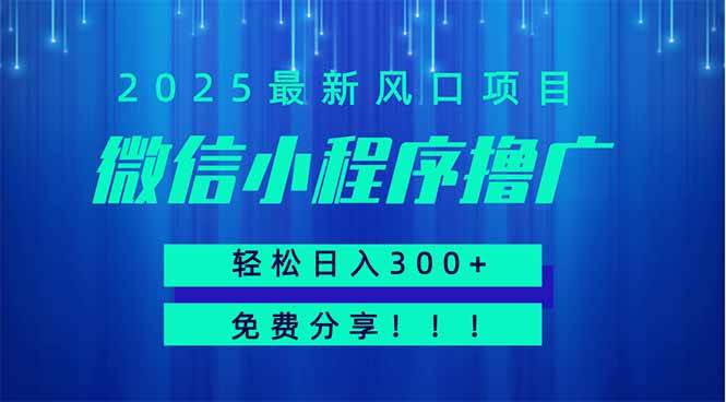 微信小程序撸广，最新风口项目，日入300+ 免费分享 可批量操作 小白可&#8230;