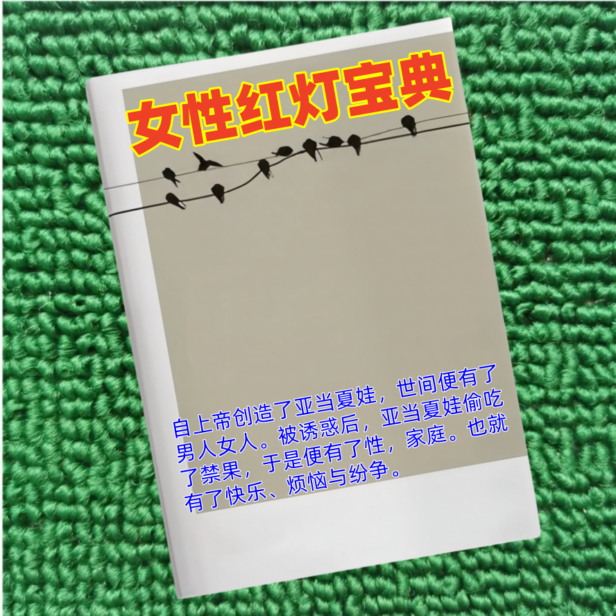 女性红灯宝典