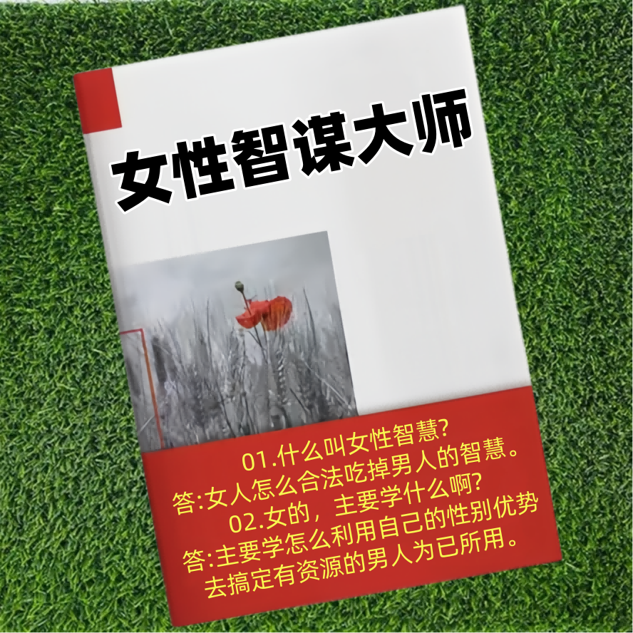 女性智谋大师