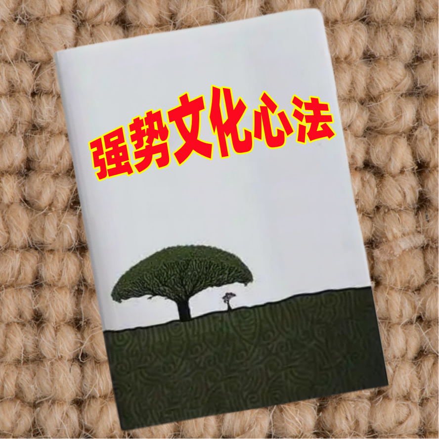 强势文化心法