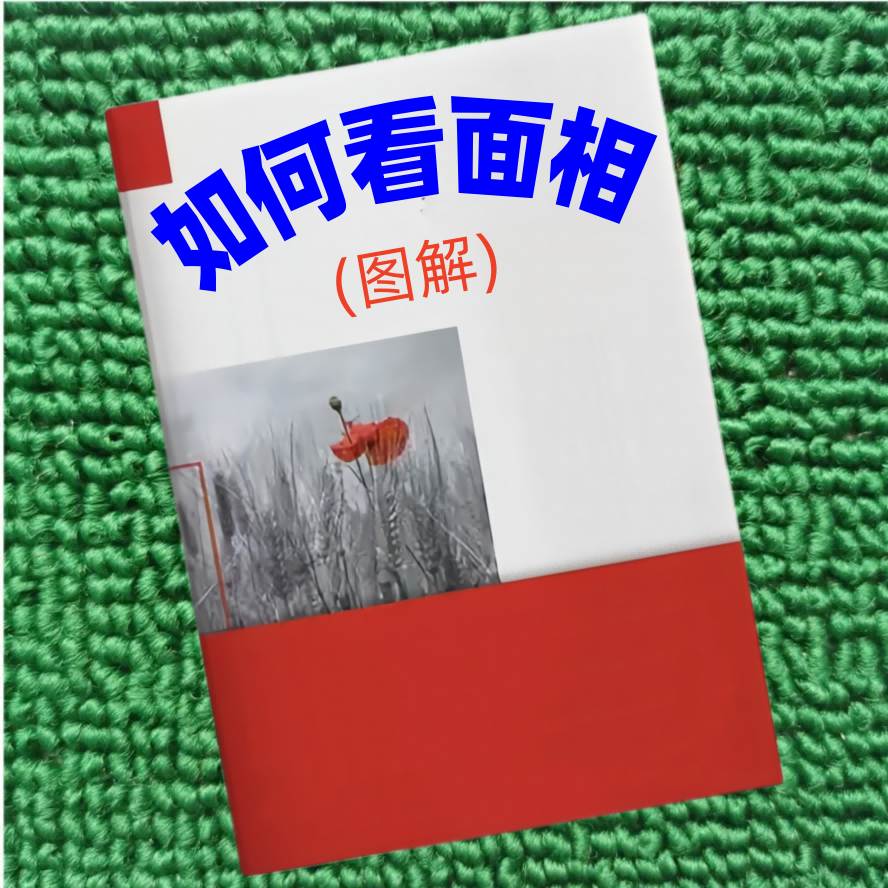 如何看面相(图解)