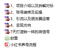 小红书玄学玩法 新手也能日入500的玩法 塔罗变现大揭秘教程