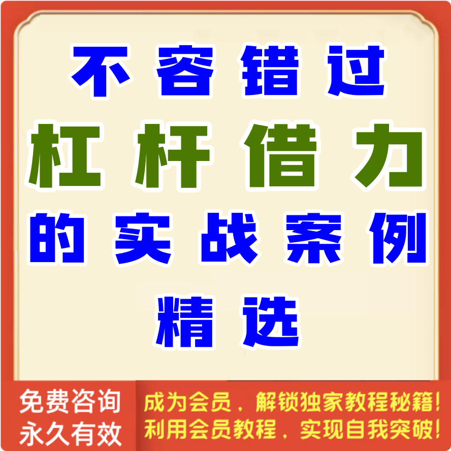 杠杆借力实战案例113个
