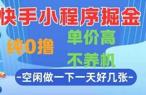 快手小程序掘金,纯0撸,单价高不养机 利用空闲时间做一做,一天好几张【揭秘】