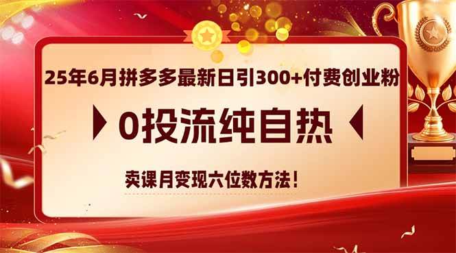25年6月拼多多最新日引300+付费创业粉，0投流纯自热 卖课月变现六位数方法