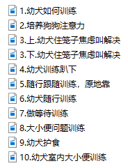 独家狗狗训练教程，助你养出乖萌汪
