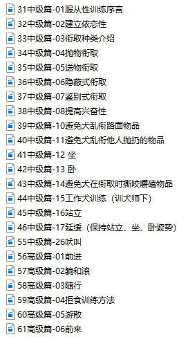 独家狗狗训练教程，助你养出乖萌汪