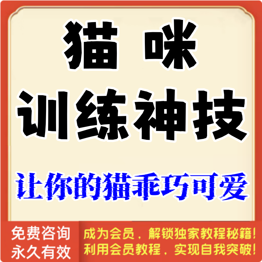 猫咪训练神技，让你的猫乖巧可爱