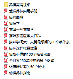 猫咪训练神技，让你的猫乖巧可爱