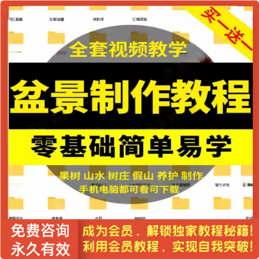 盆景制作培训视频教程果树假山水木桩栽培修剪养护技术零基础鉴赏