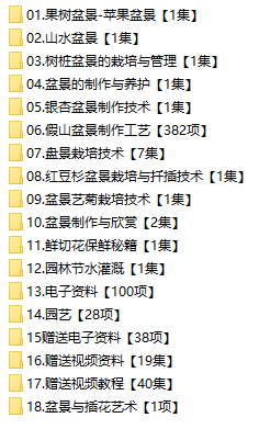 盆景制作培训视频教程果树假山水木桩栽培修剪养护技术零基础鉴赏