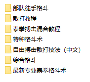 武术格斗散打擒拿泰拳教学课，让你一招制敌，秒变格斗高手