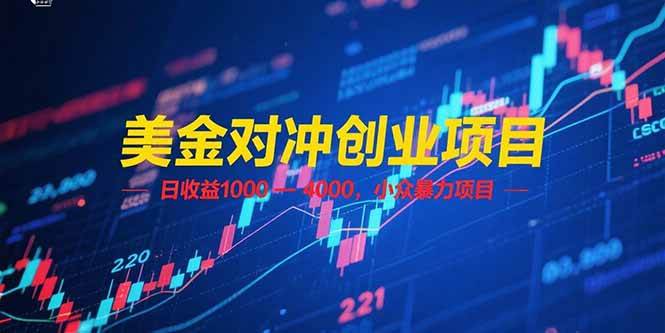 美金对冲创业项目，日收益 1000 – 4000，小众暴力项目